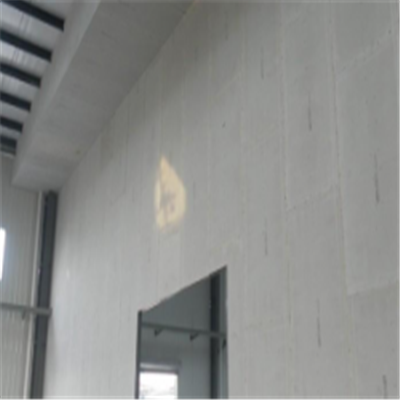 渝北新型建筑材料掺多种工业废渣的ALC|ACC|FPS模块板材轻质隔墙板